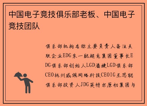 中国电子竞技俱乐部老板、中国电子竞技团队